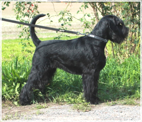 Un´avventura Unica von der Thelersäule